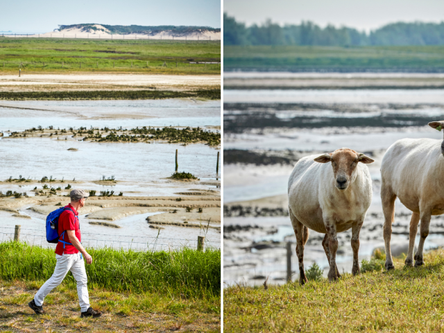 zwin wandelroute