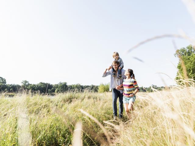 wandelen zomer