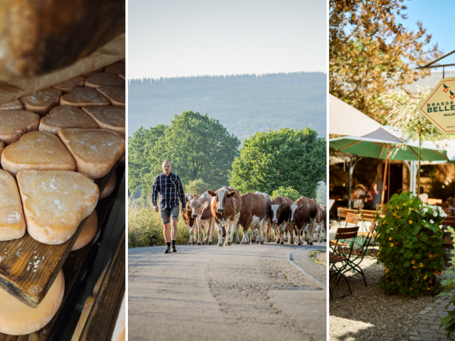 weekendje-ardennen