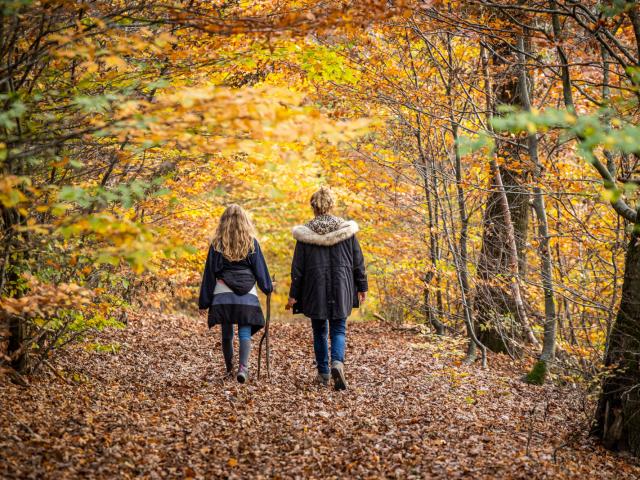 herfstwandelingen ardennen