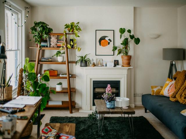 plantes
