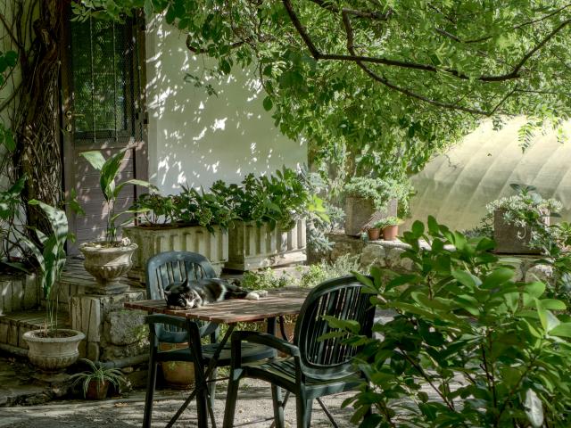 jardin désordre