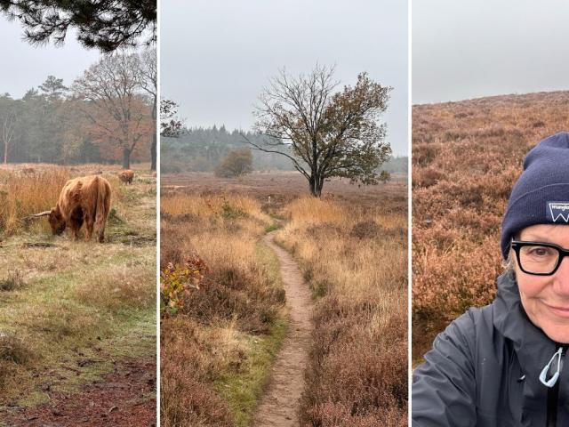 Foto's van Libelle-columniste Annick in De Veluwe, waar ze vijf wandelroutes uitgetest heeft.