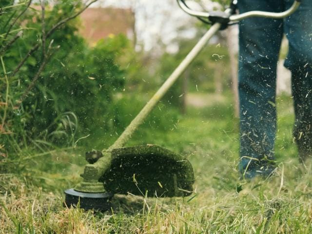 grastrimmer