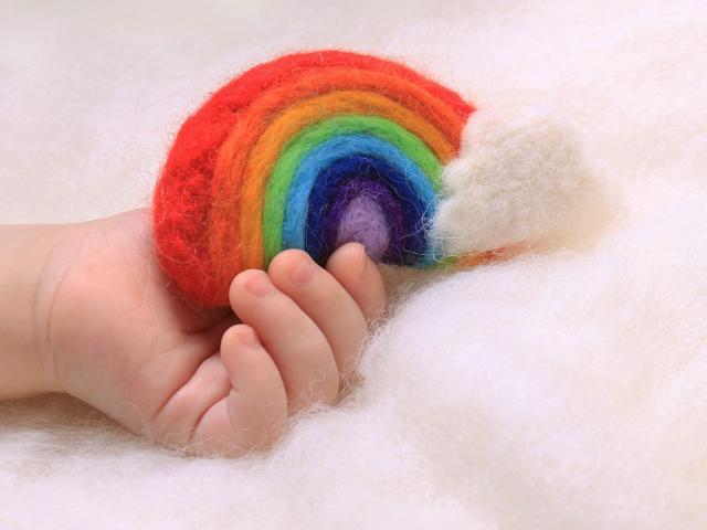 bebe arc en ciel rainbow baby definition