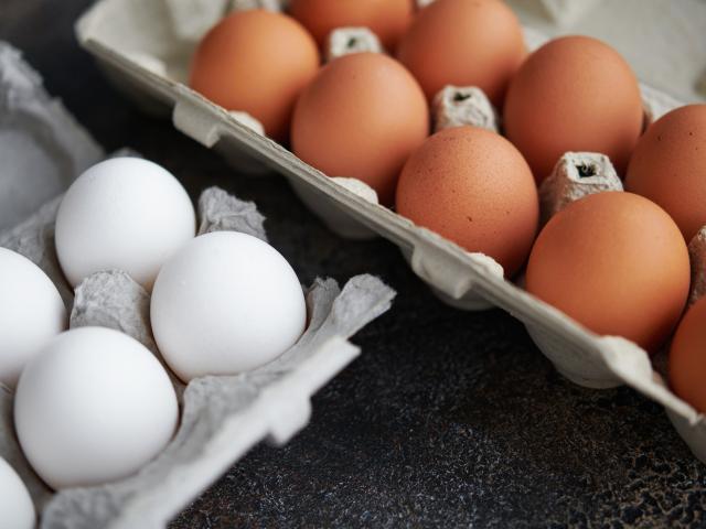 witte eieren bruine verschil