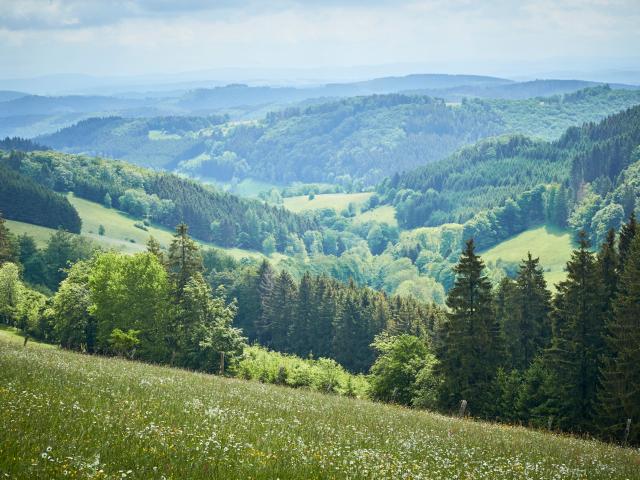 sauerland