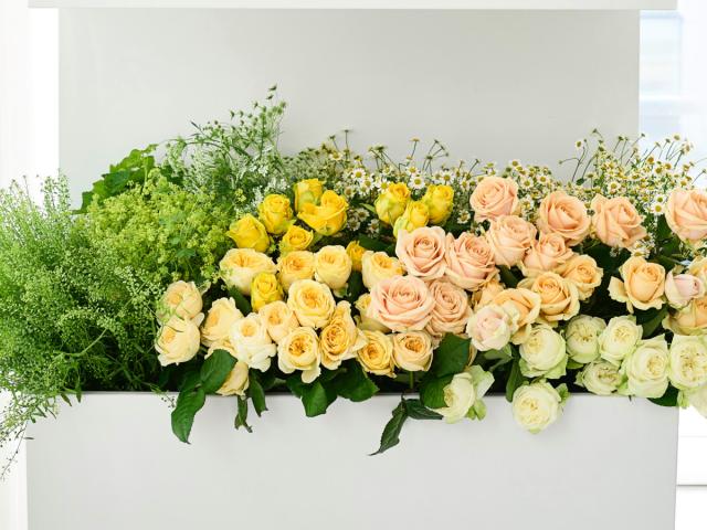 Rozen
