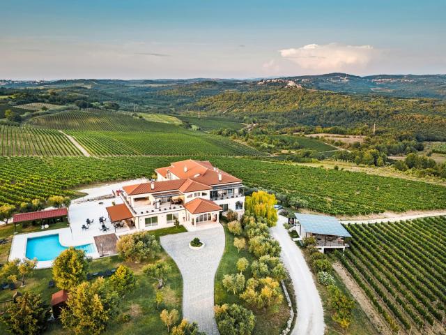 vignobles