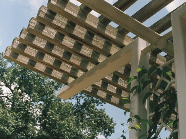 ombre jardin