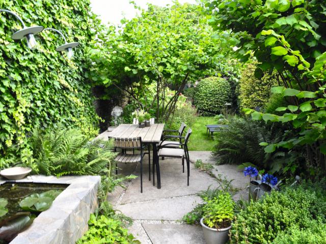 jardin-éponge