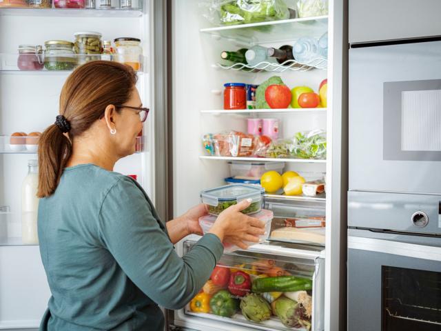 temperatuur koelkast en diepvriezer