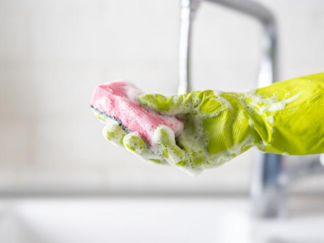 kleur, schuursponsjes