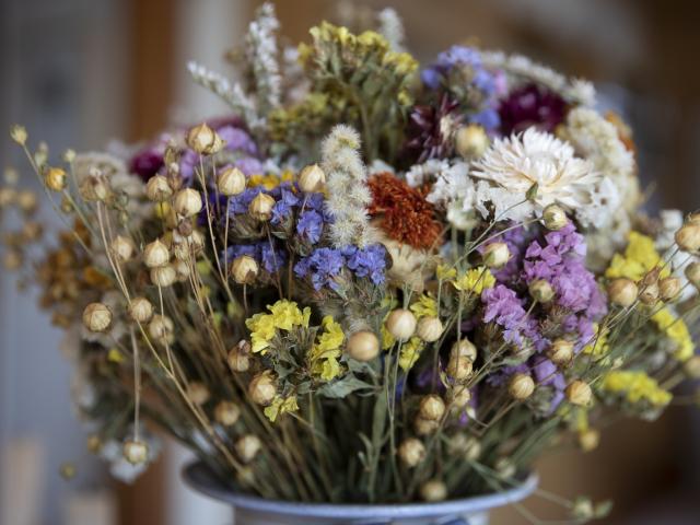 bloemen drogen