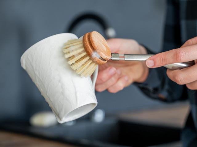 afwasborstel schoonmaken