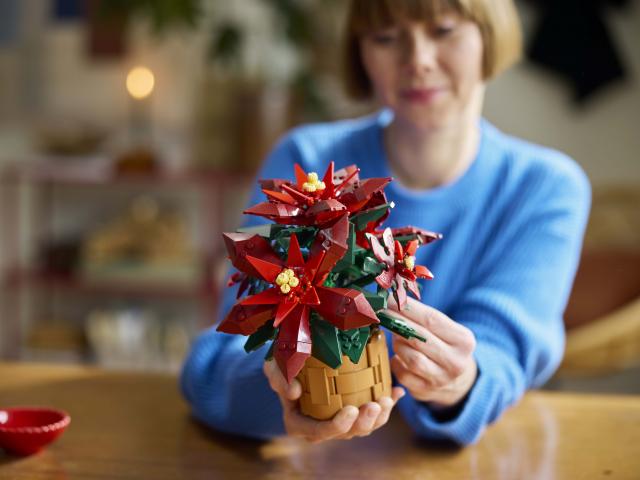 Étoile de Noël LEGO®