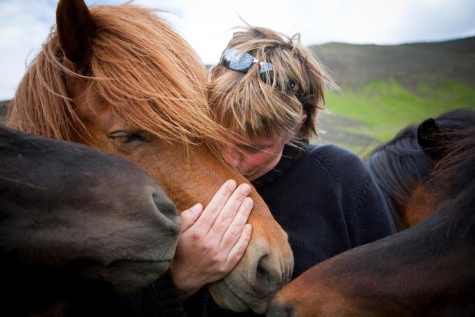 Belle amitié entre l'homme et le cheval