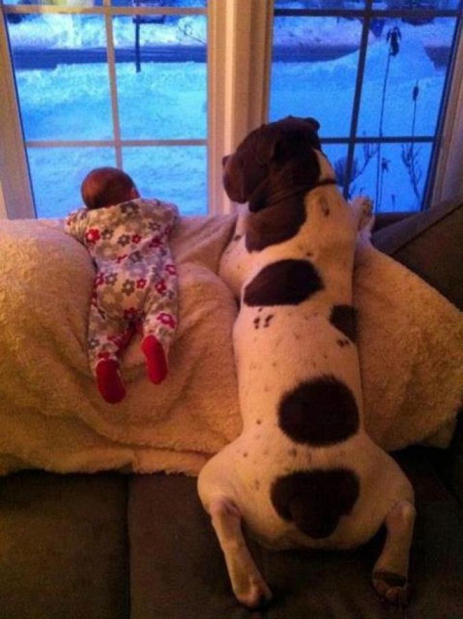 Amitié entre un enfant et un chien