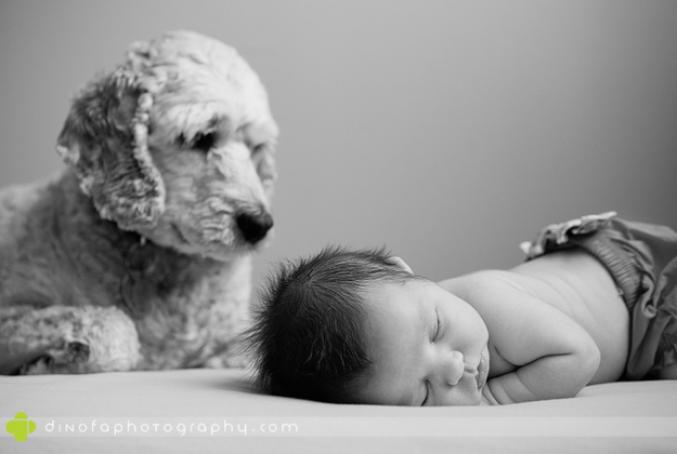 Bebes En Photo Avec Un Chien Femmes D Aujourd Hui