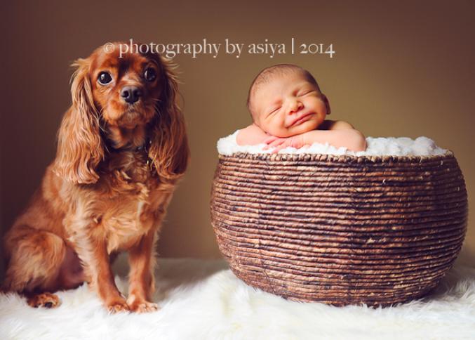 Bebes En Photo Avec Un Chien Femmes D Aujourd Hui