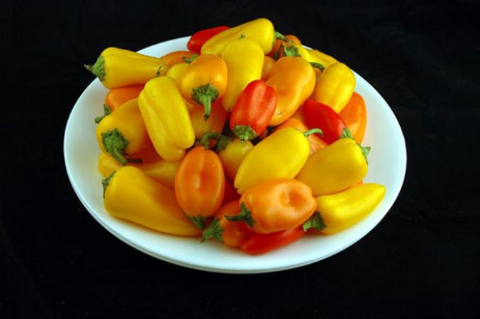 740g de petits poivrons