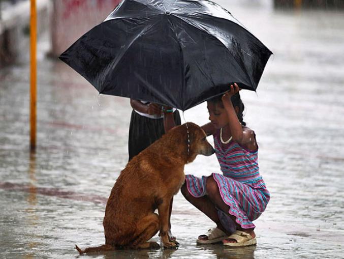 Deux enfants utilisent leur parapluie pour qu’un chien errant puisse être au sec