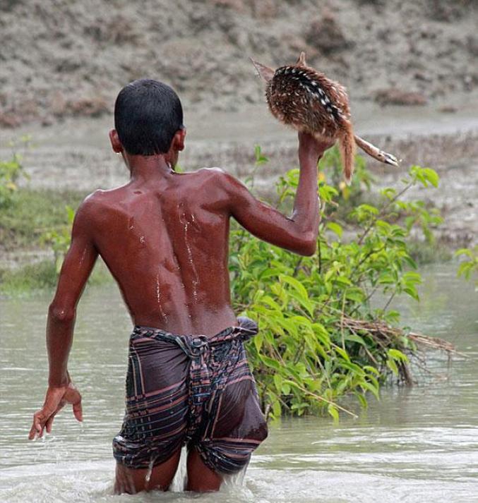 Ce garçon risque sa vie pour sauver un faon lors d’une inondation au Bangladesh 