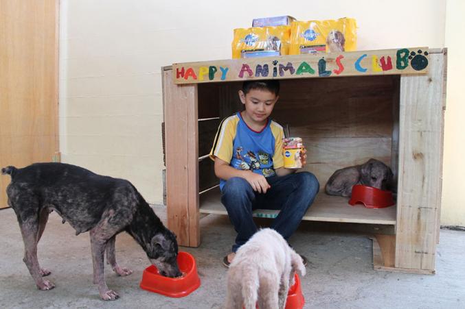 Ce garçon crée un refuge pour chiens errants dans son garage