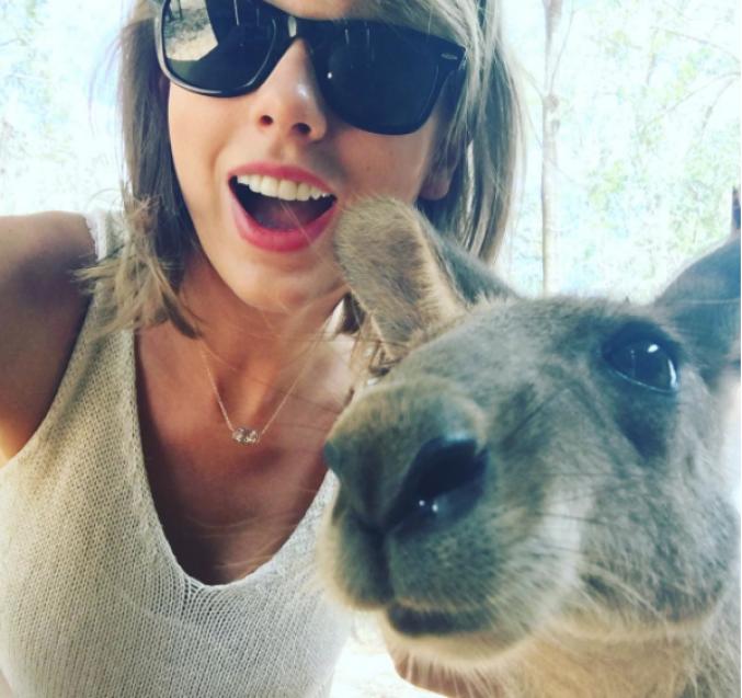 Taylor Swift et un kangourou
