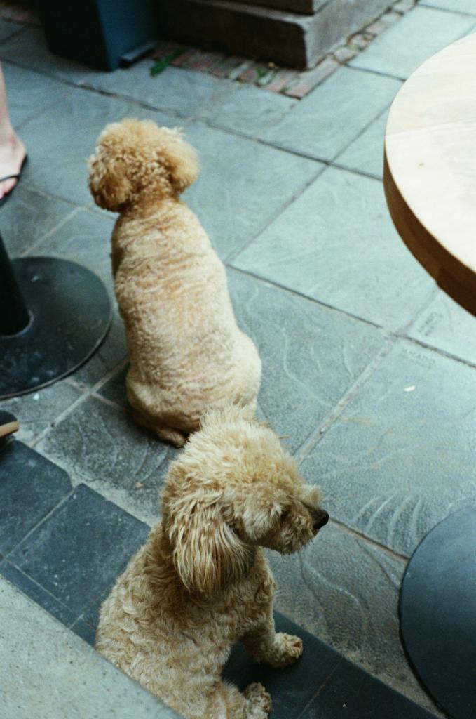 dogood cafe Mode en design Hasselt