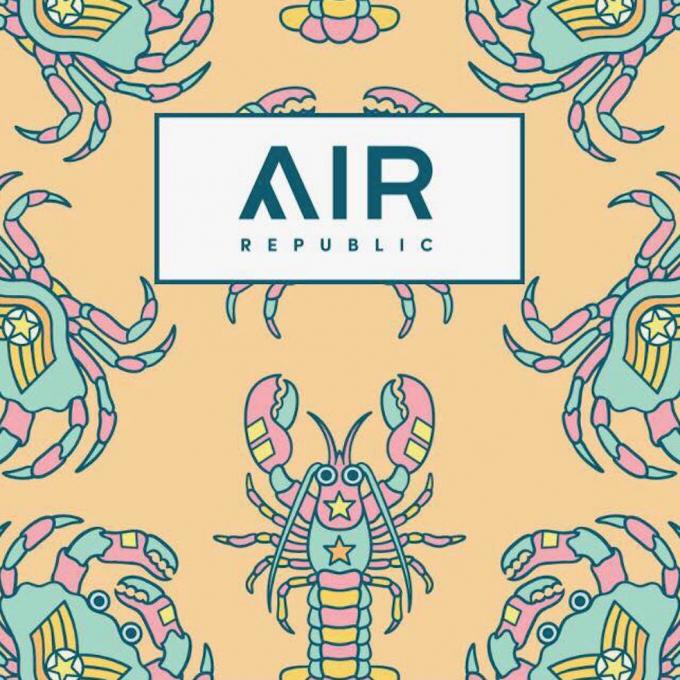 Air Republic