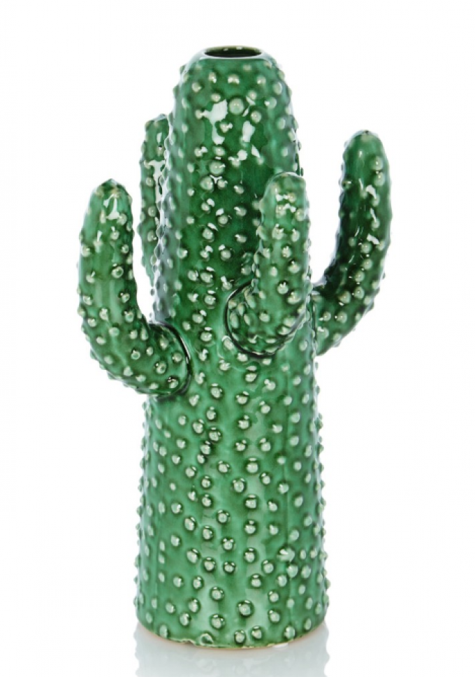 Cactusvaas