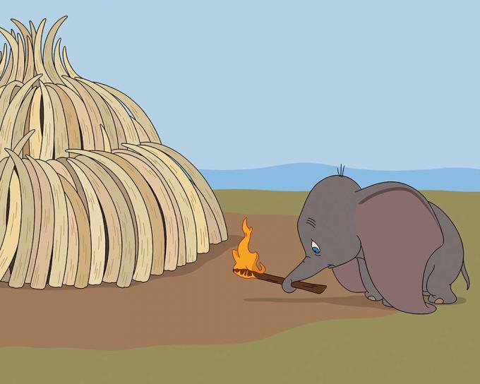 Dumbo sans défenses #Tristesse