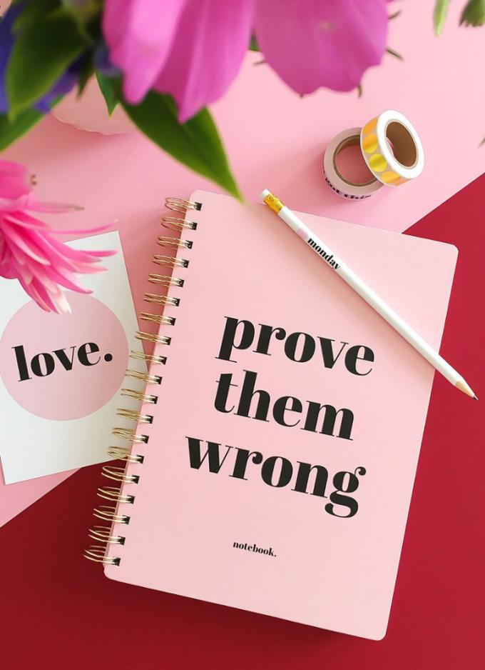Roze notitieboekje met opschrift 'Prove them wrong'