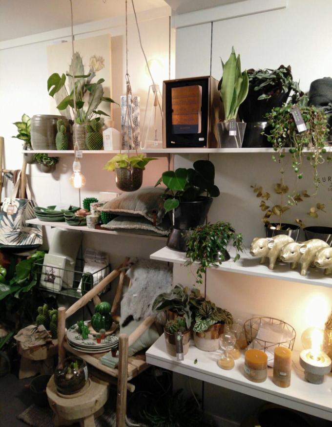 Fleur de Lies #greenlover: concept store met planten en Scandinavisch design