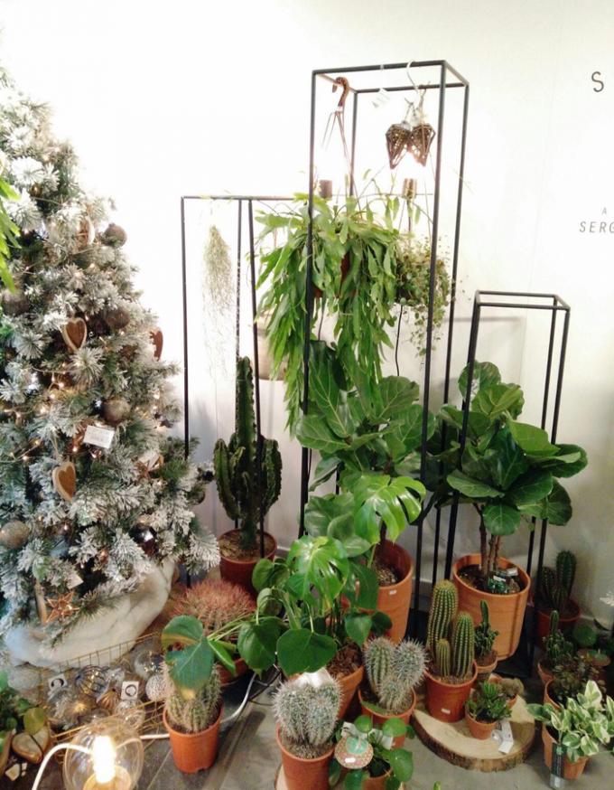 Fleur de Lies #greenlover: concept store met planten en Scandinavisch design