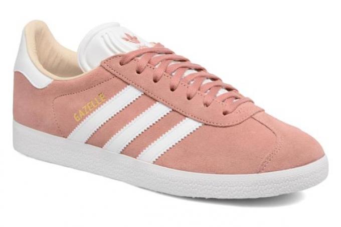 Roze Gazelle