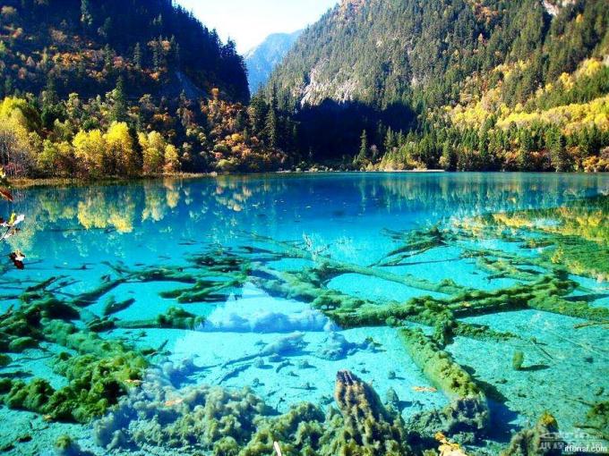 Five Flower Lake, Jiuzhaigou, Chine