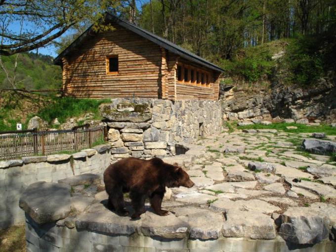 Dormir avec les ours au Domaine des Grottes de Han