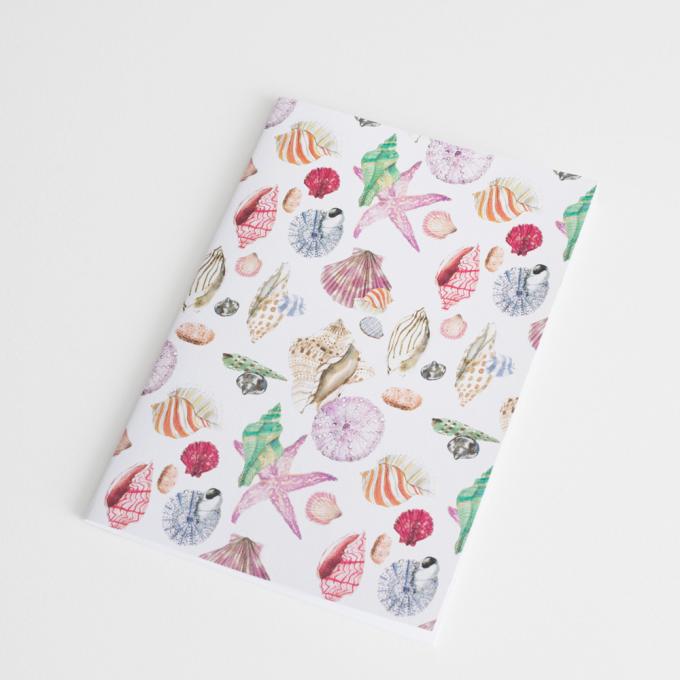 Carnet coquillages & Other Stories