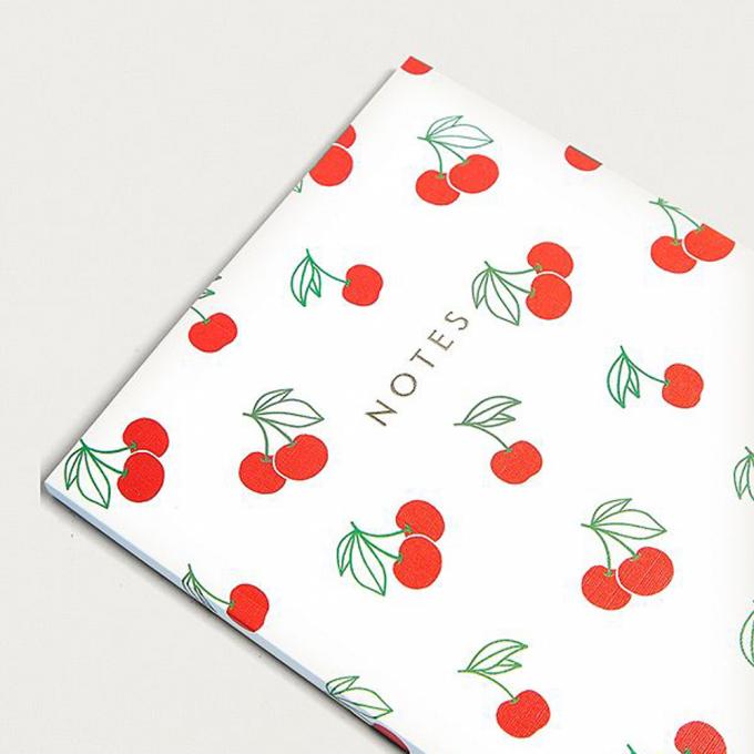 Carnet cerises Urban Outfitters