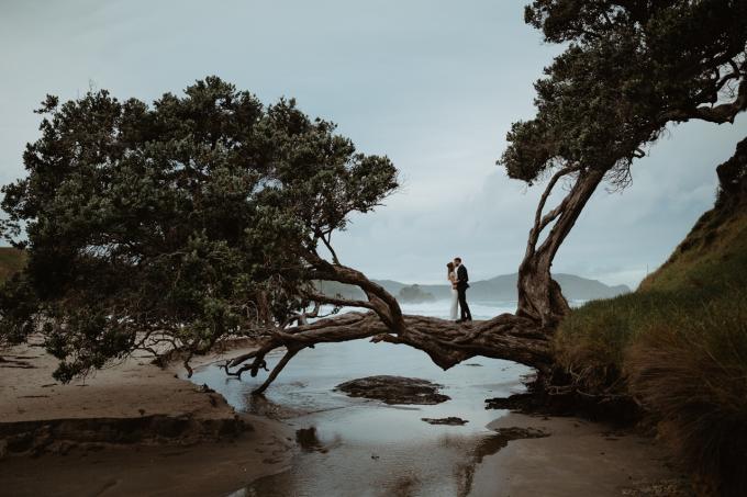 Northland, Nouvelle-Zélande