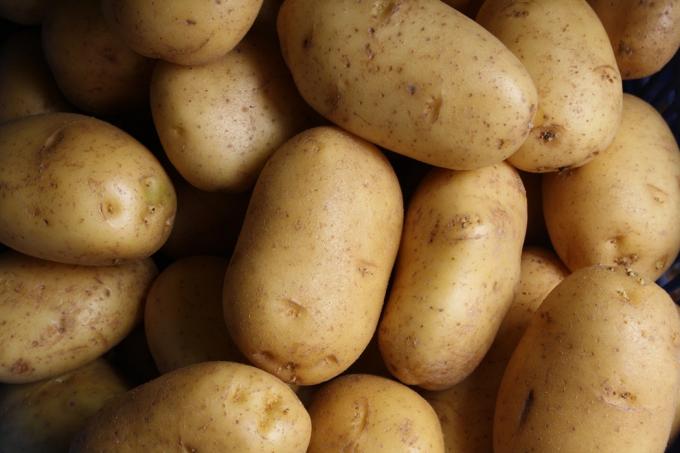 Rauwe aardappel en andere knolgroenten