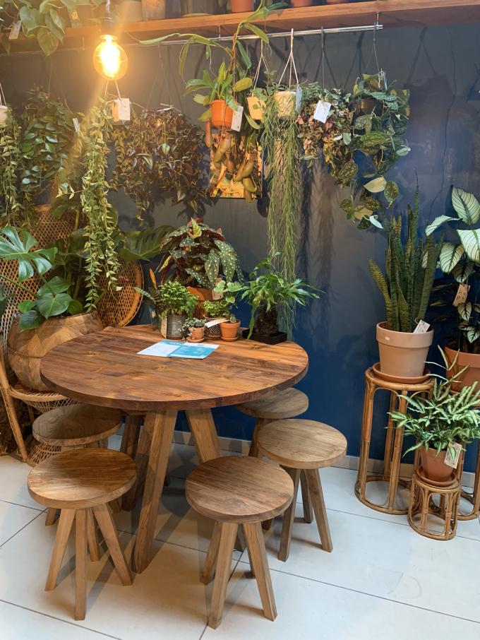 Tropisch plantenkaffee in Gent: Broesse