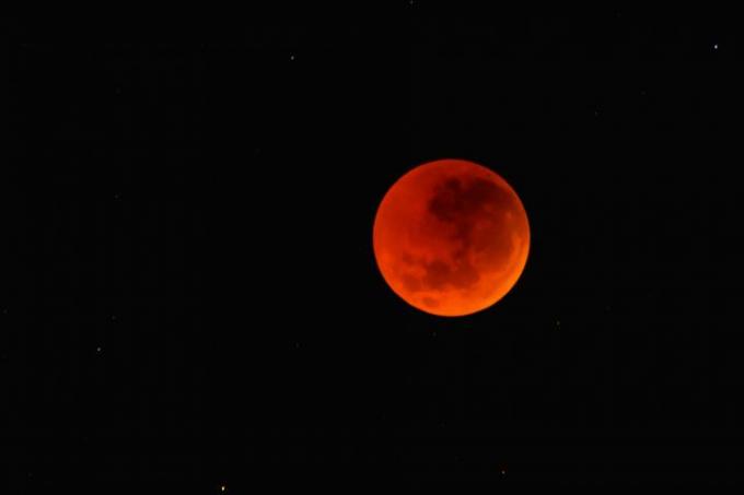 L'éclipse lunaire - PARTOUT