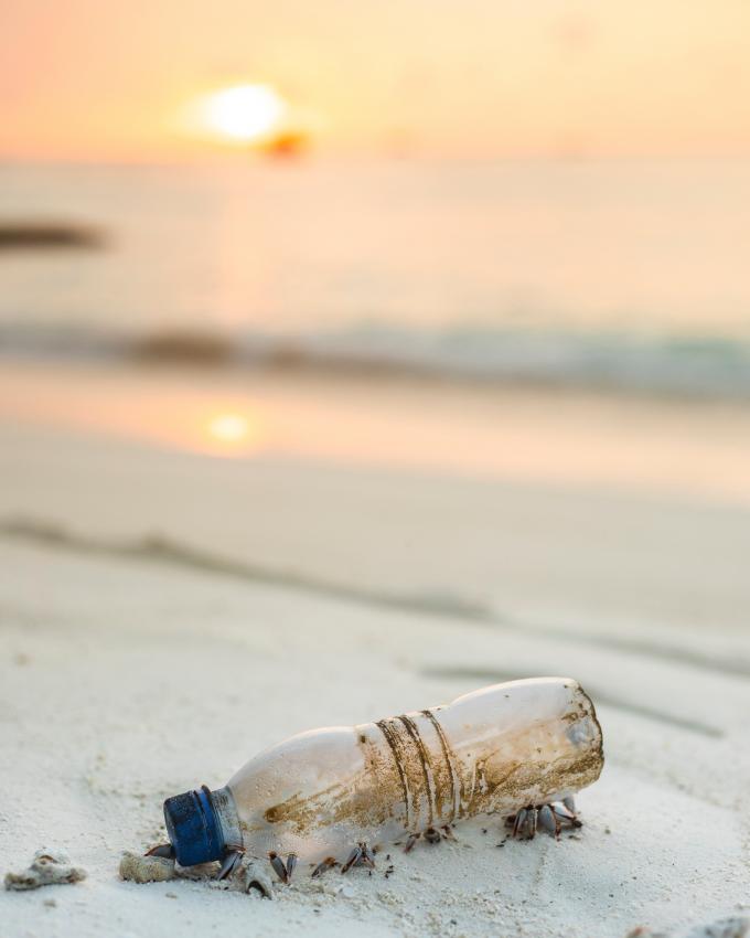 La journée du nettoyage des plages - MER DU NORD