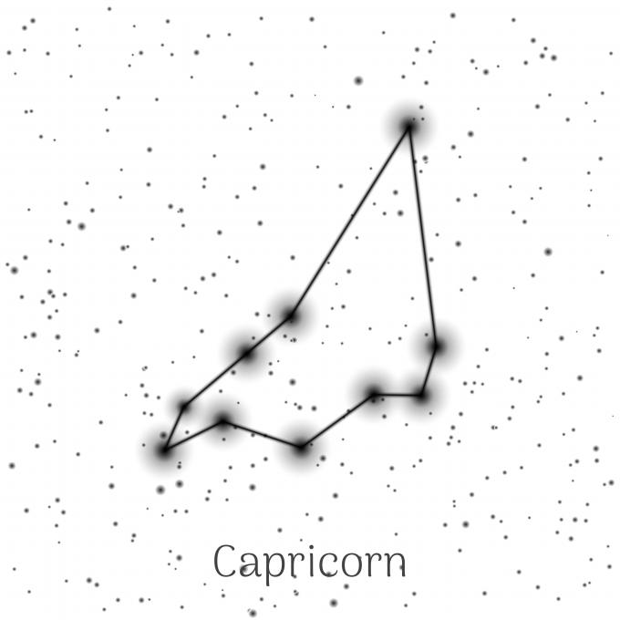 Capricorne (22 décembre - 19 janvier)