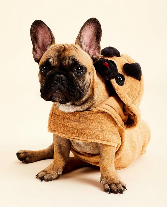 Onesie pour chien JBC