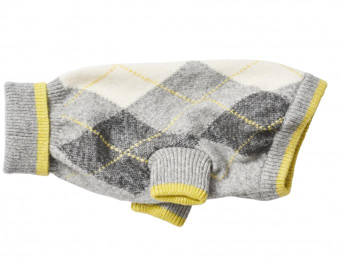 Pull pour chien H&M