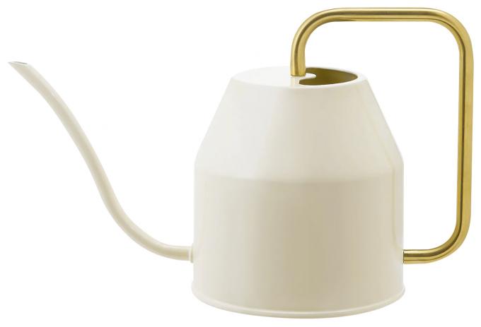Witte gieter Vattenkrasse